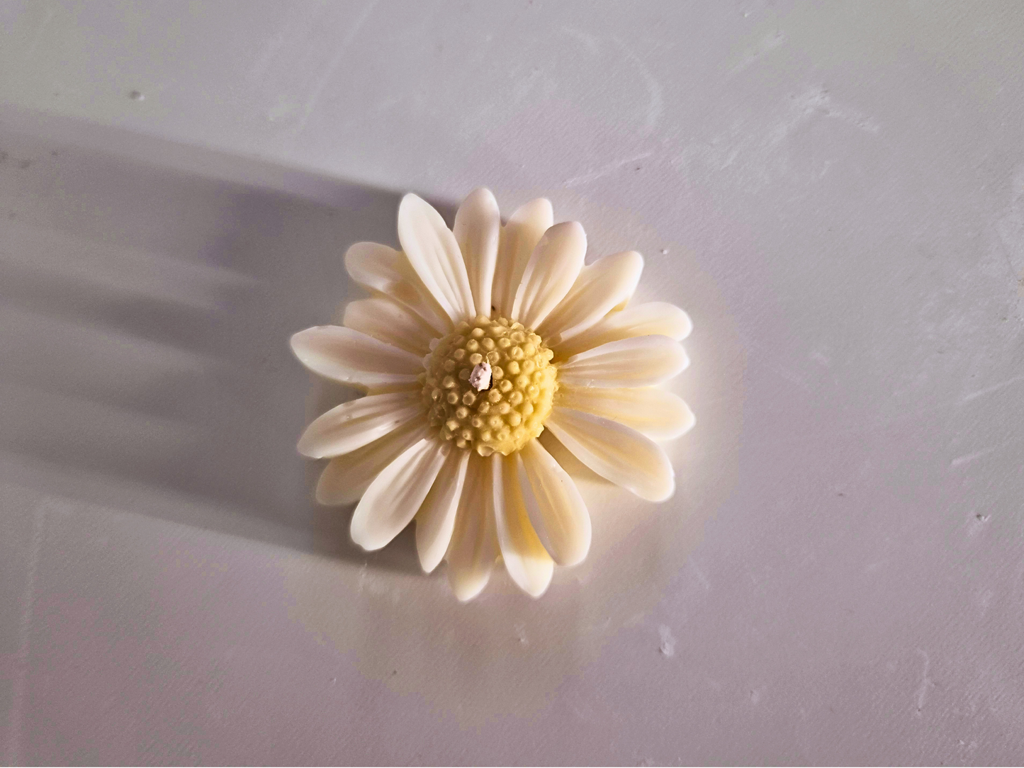 Daisy natural set