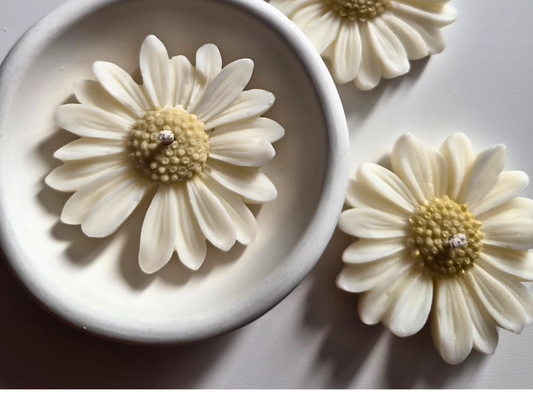 Daisy natural set